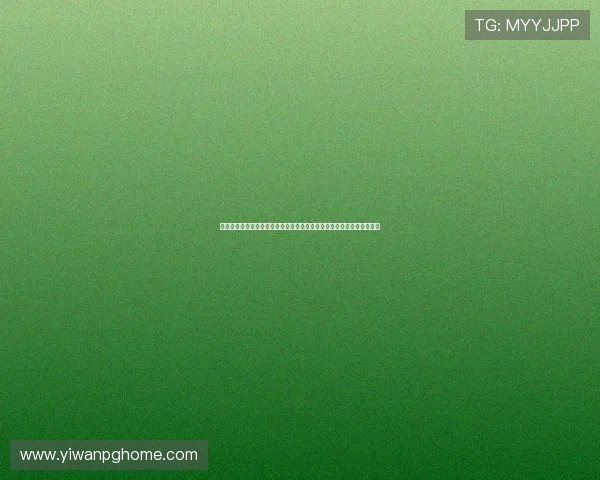 星辉游戏娱乐全方位报道世界杯赛事动态与精彩瞬间满足体育迷多样需求